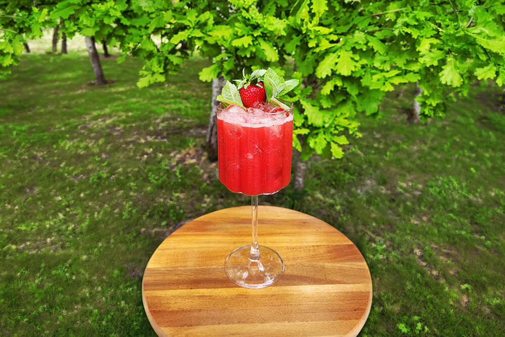 Refreshing berry cocktail at VeloPietura camping in Latvia